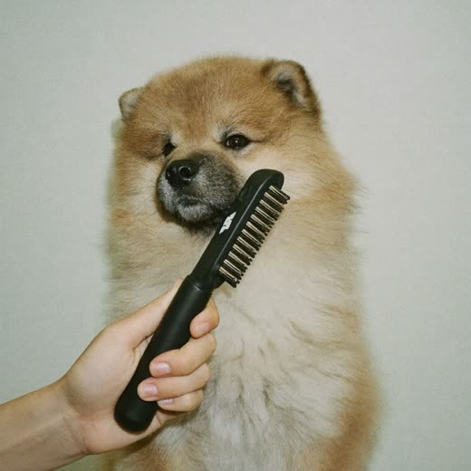 A dog's coat being brushed out with a slicker brush